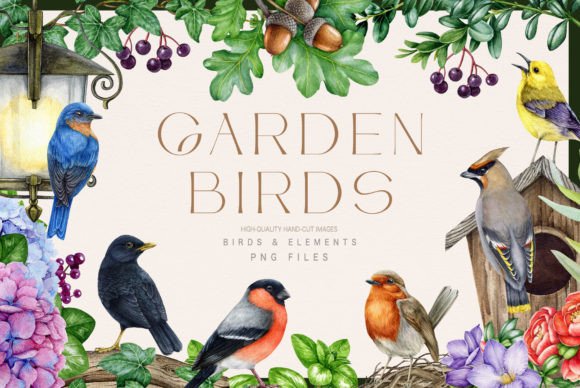 Download Garden Birds Watercolor Illustration Set - Premium Resources